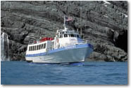 Major Marine Tours