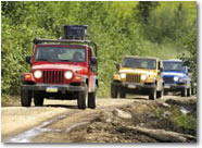 Backcountry Jeep&reg; Safari