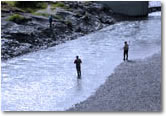 Denali Backcountry and Seward Fishing