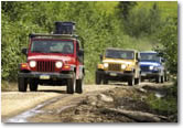 Excursion - Denali Self-Drive Jeep&reg; Tour