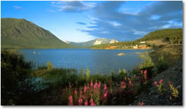 Skagway