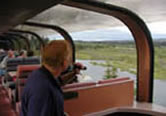 Denali Sampler - Anchorage to Fairbanks