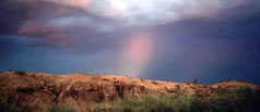 Big Bend National Park