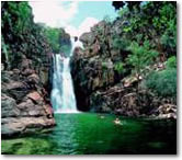 The Great Aussie Outback Discovery