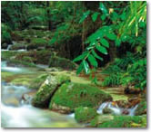 Fantastic Fraser Coast: Tour #1