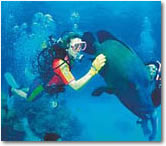 Reef to Rainforest: Tour #2