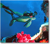 Reef to Rainforest: Tour #3