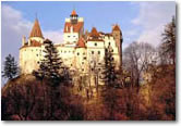 The Transylvanian