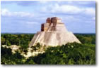 The Expreso Maya Train