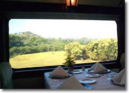 Your view from the dining car.