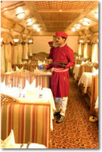 The Viceroy of India