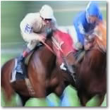 Grand National from Milton Keynes