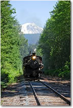 The Rainier Rambler
