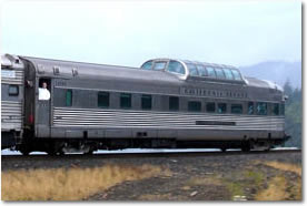 Silver Solarium - Deluxe Dome