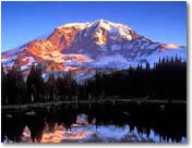 Mt. Rainier Motorcoach Tour