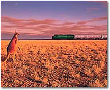 Australia Tours and Trains