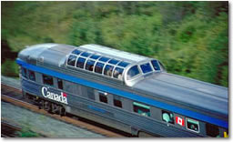 Silver & Blue Class Dome