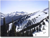 Whistler