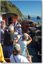 Scenic shot of train traversing the Nehalem Canyon
