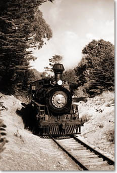 Skunk train on the Redwood Route